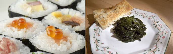 What makes red algae so different and why should we care?