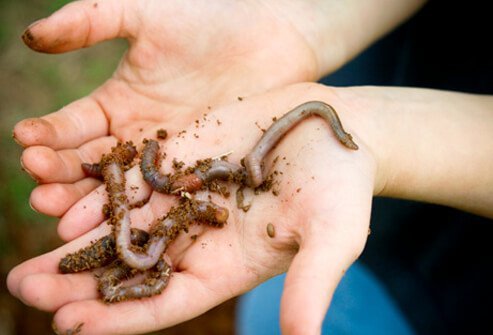 Ringworm is not caused by worms, as the name implies.