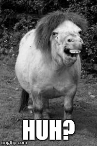 Image result for ugly horse