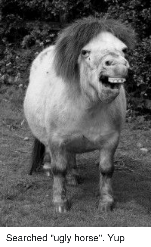 Image result for horse ugly