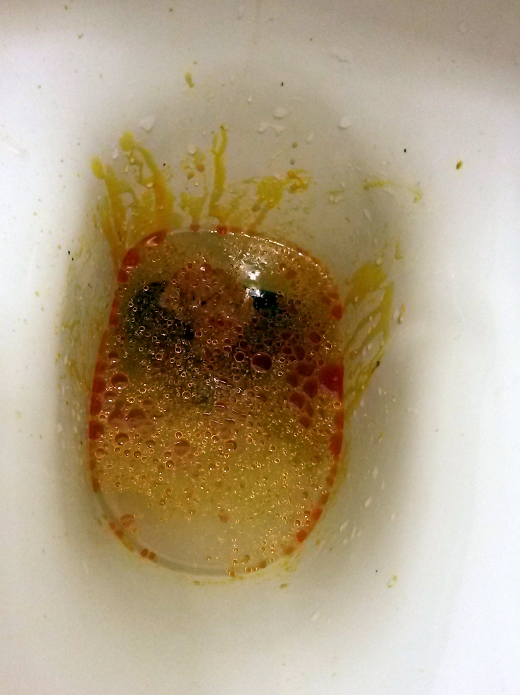 Image result for Poop on pizza